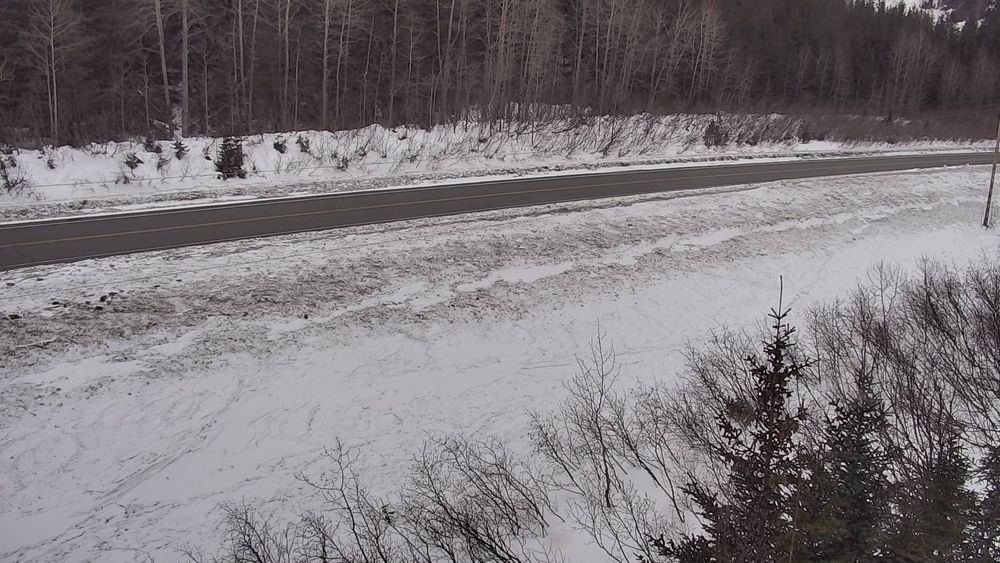 Richardson Highway at Sheep Creek MP 18.6 live webcam