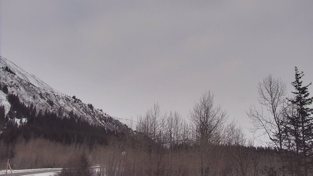 Richardson Highway @ Sheep Creek MP 18.6 — View 7