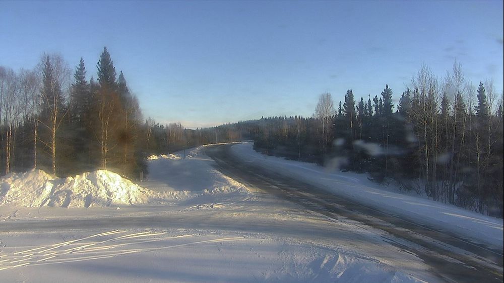 Richardson Highway @ Birch Lake MP 307.2 — View 2