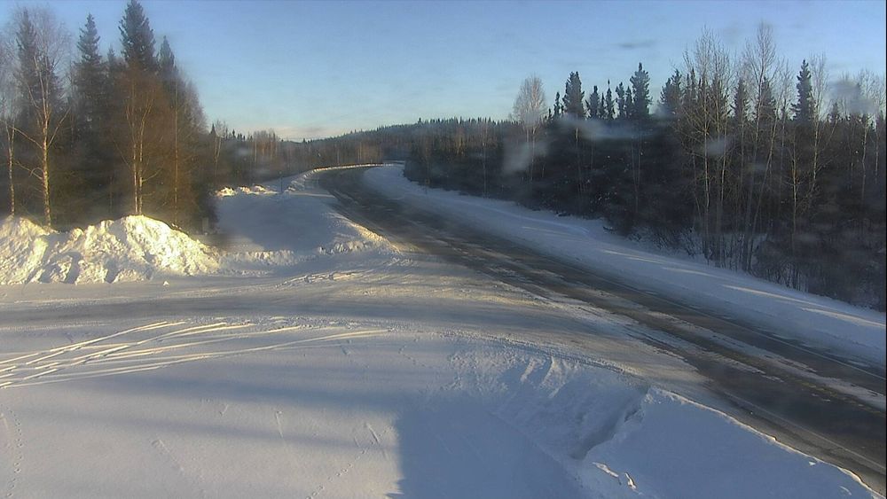 Richardson Highway @ Birch Lake MP 307.2 — View 3
