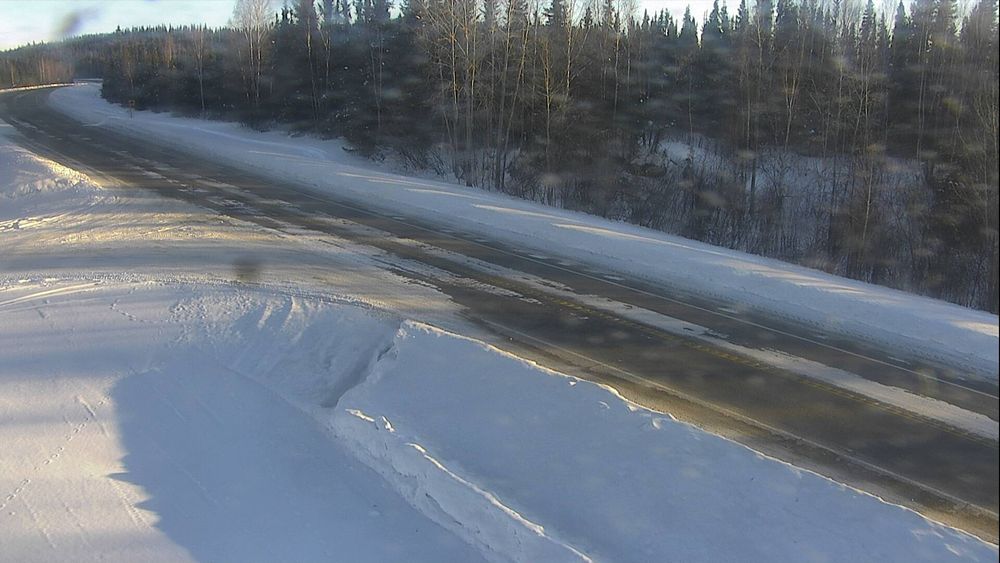 Richardson Highway @ Birch Lake MP 307.2 — View 4