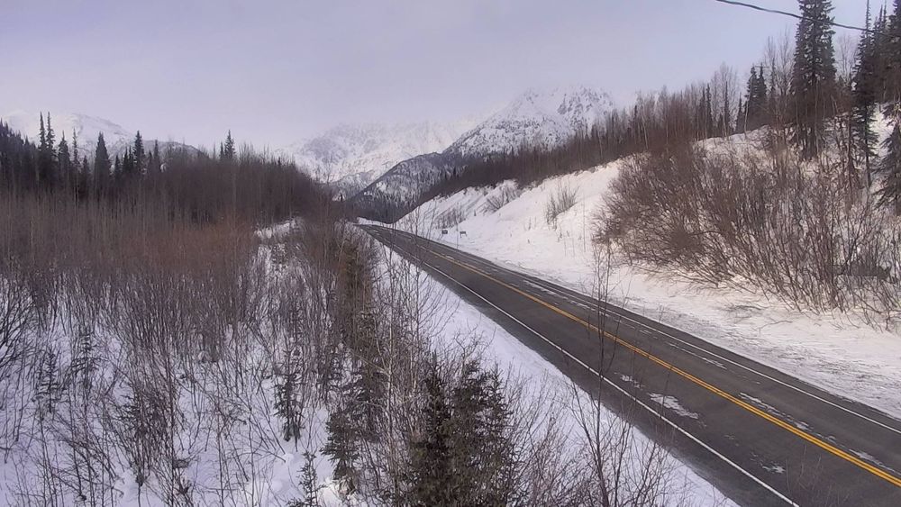 Tok Cutoff at Mentasta Pass MP 79.2 live webcam