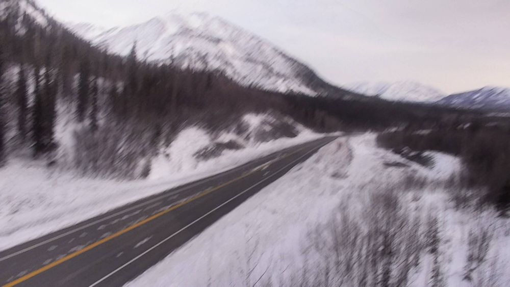 Tok Cutoff @ Mentasta Pass MP 79.2 — View 5