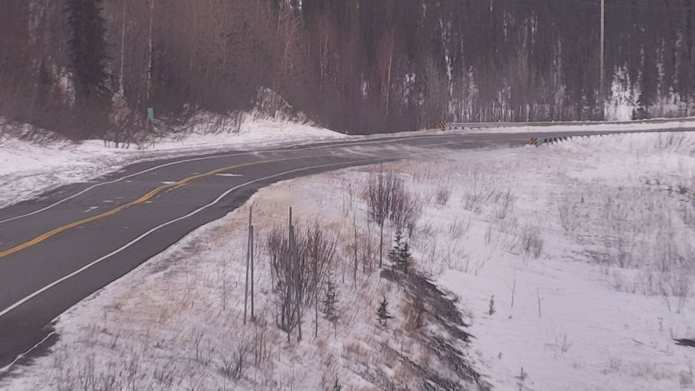 Tok Cutoff @ Mentasta Pass MP 79.2 — View 6