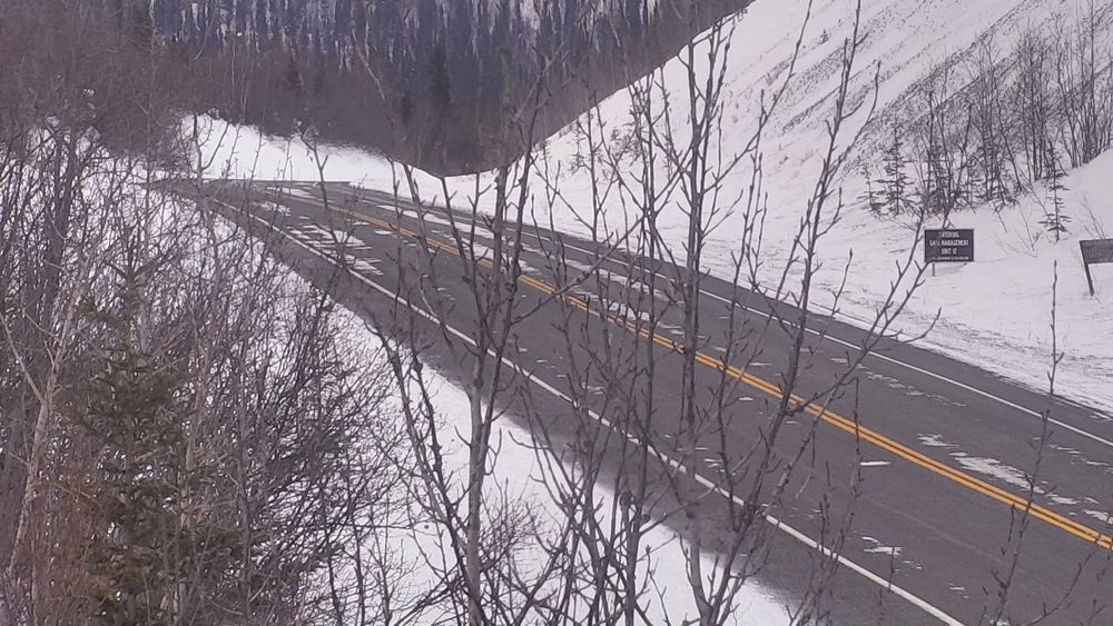 Tok Cutoff @ Mentasta Pass MP 79.2 — View 8