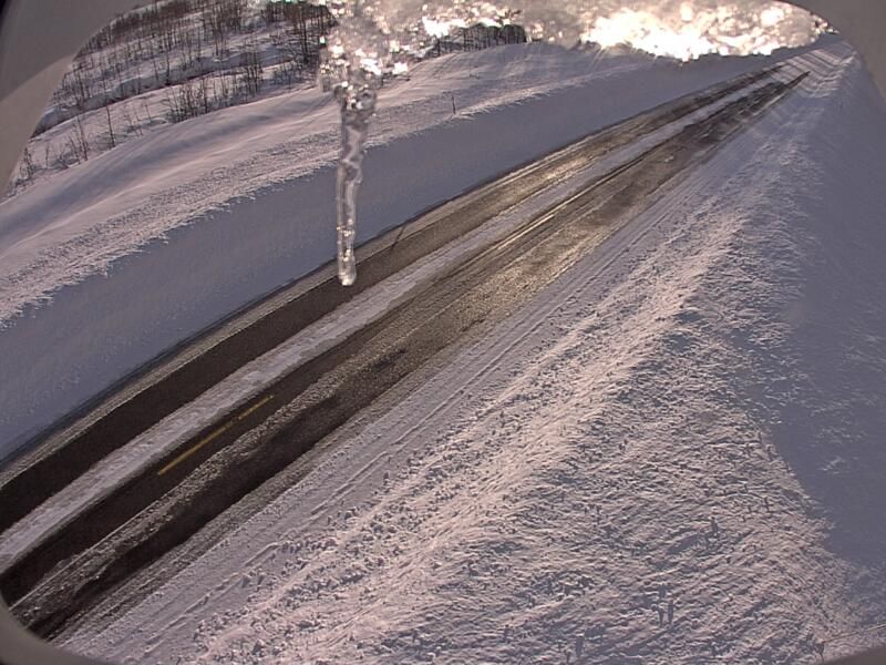 Haines Highway at Klehini MP 36.6 live webcam