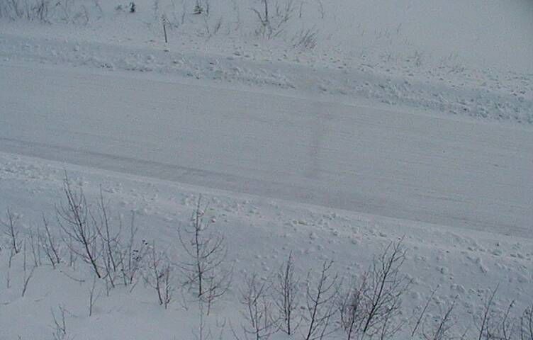 Alaska Highway @ Canadian Border MP 1221.8 — View 4