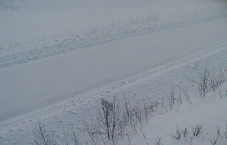 Alaska Highway @ Canadian Border MP 1221.8 — View 5