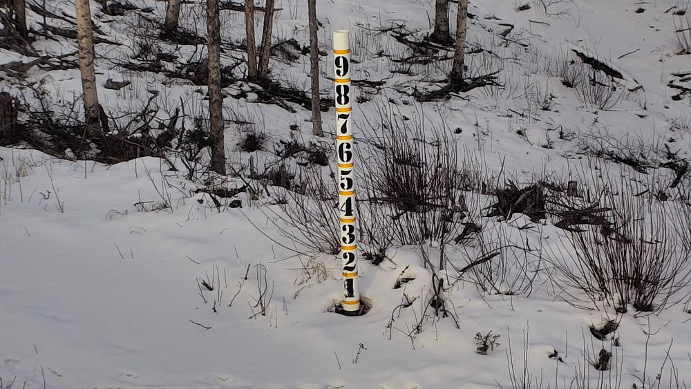 Sterling Highway at Tern Lake MP 37 live webcam