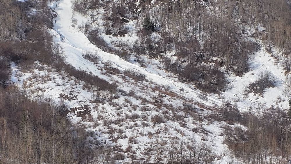 Sterling Highway @ Tern Lake MP 37 — View 5