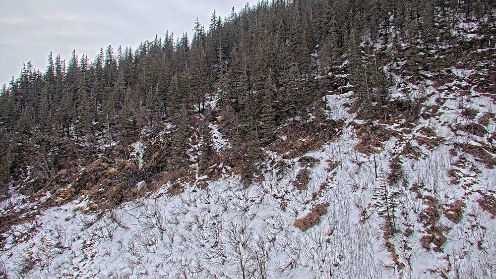 Richardson Highway at Keystone Canyon MP 12.3 live webcam