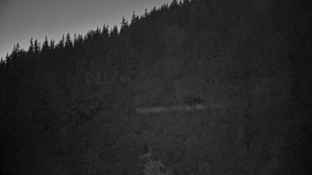 Richardson Highway @ Keystone Canyon MP 12.3 live traffic camera, angle 1 of 8