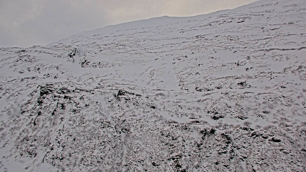 Camp Road @ Whittier Tunnel — View 2