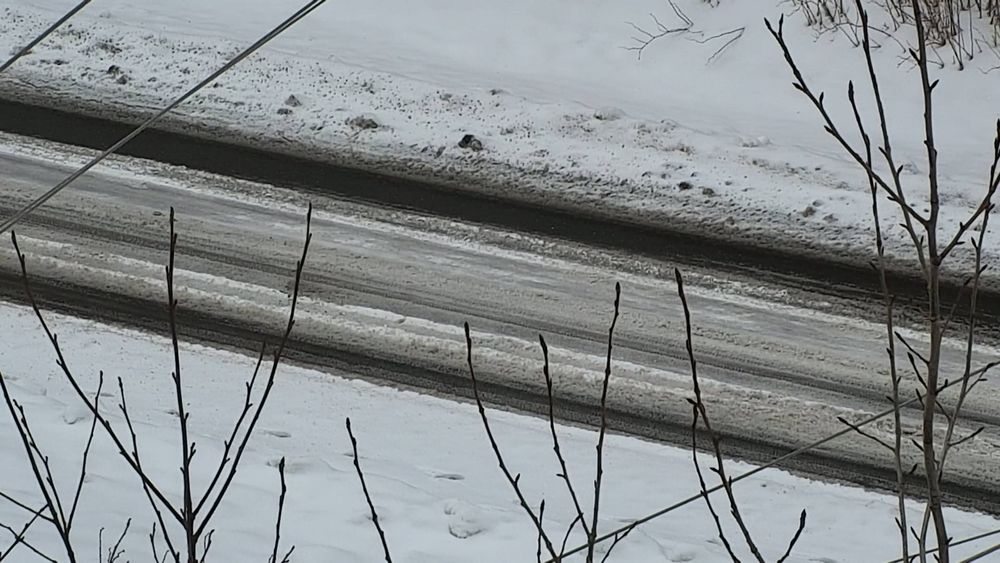 Thane Road @ Snowslide Creek Avalanche Path MP 1.9 — View 4