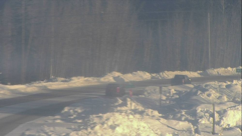 Badger Road at Elvira Avenue live webcam