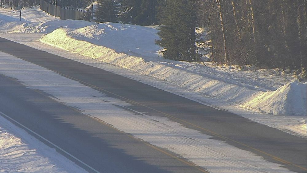 Badger Road @ Elvira Avenue — View 3