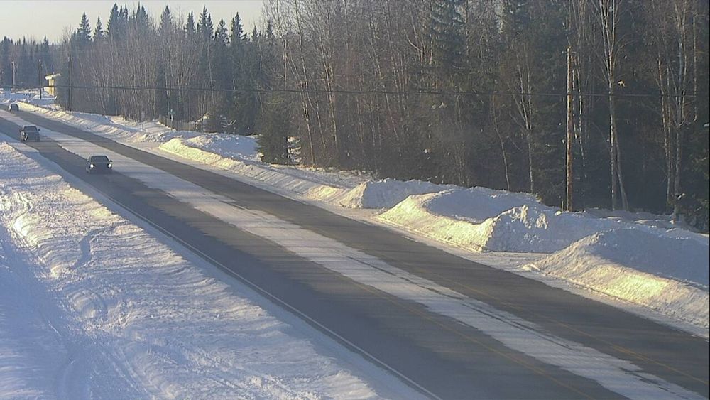 Badger Road @ Elvira Avenue — View 4