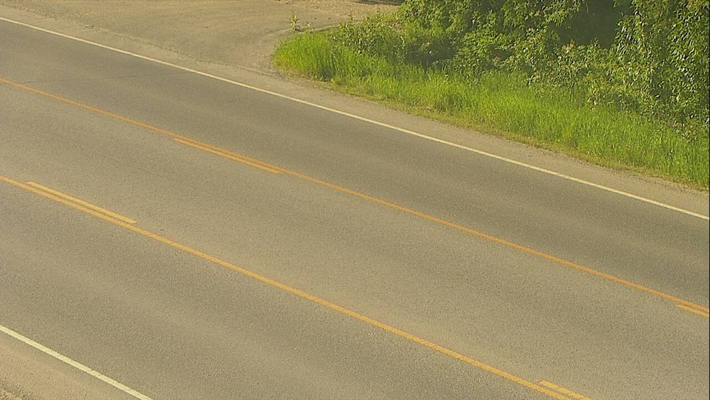Badger Road @ Elvira Avenue