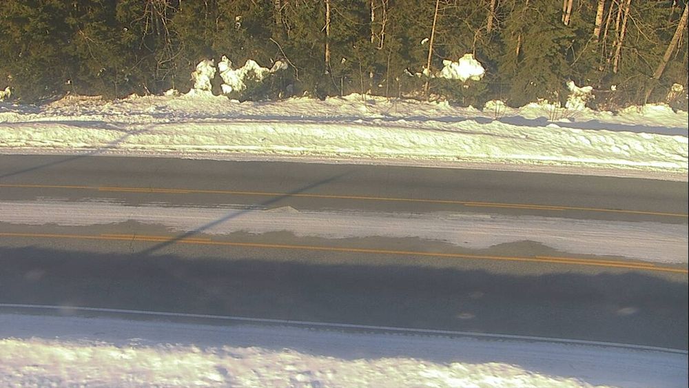 Badger Road @ Elvira Avenue — View 6