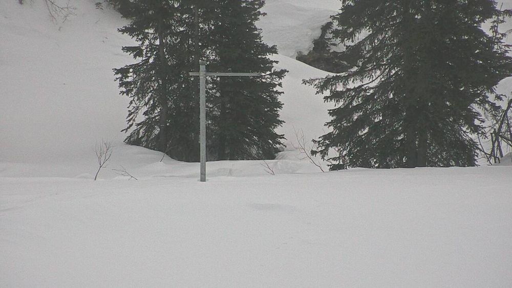 Richardson Highway at Tsina River MP 37 live webcam