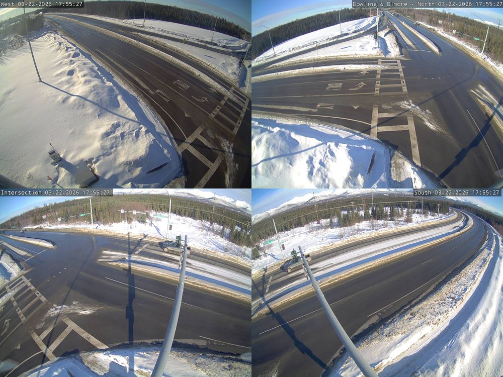 Dowling & Elmore live webcam