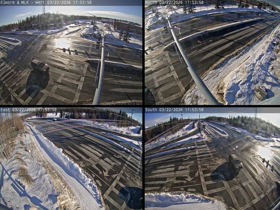 Elmore & MLK live webcam