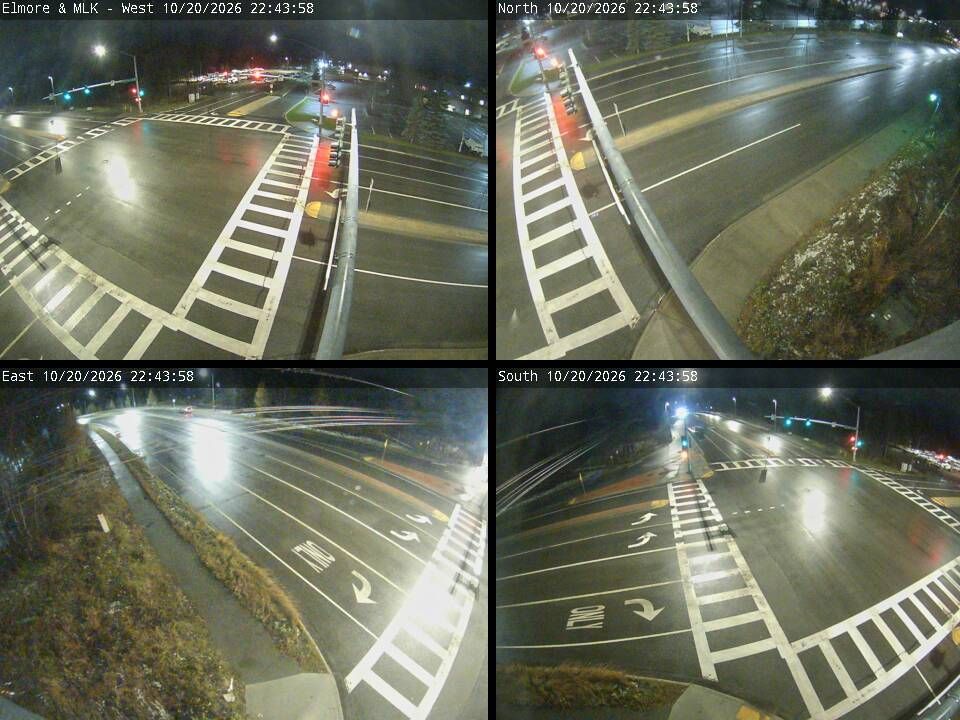 Elmore & MLK live traffic camera