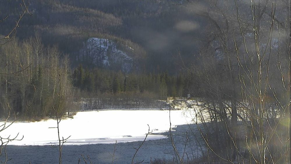 Sterling Highway @ Russian River Ferry MP 54.8 — View 3