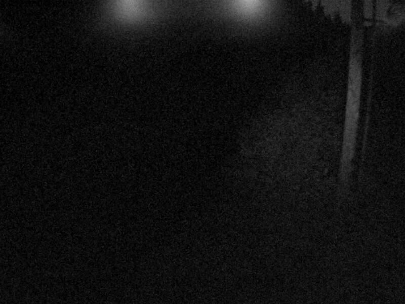 Glacier Highway @ Cohen Drive MP 21 live traffic camera