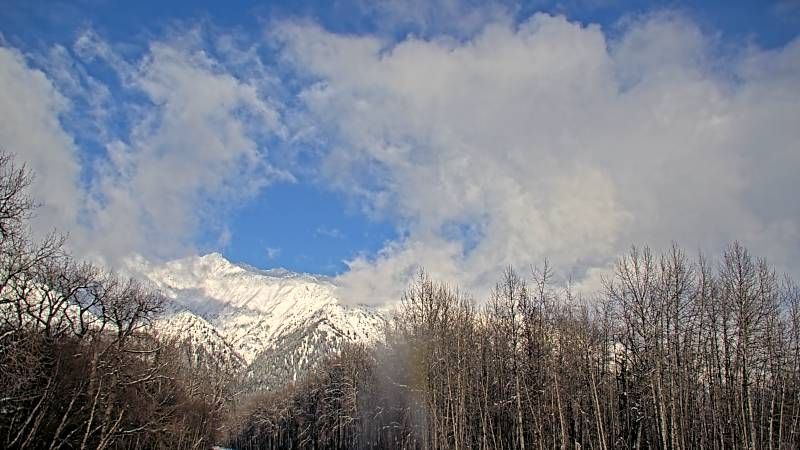Haines Highway at Chilkat River Bridge MP 23.8 live webcam